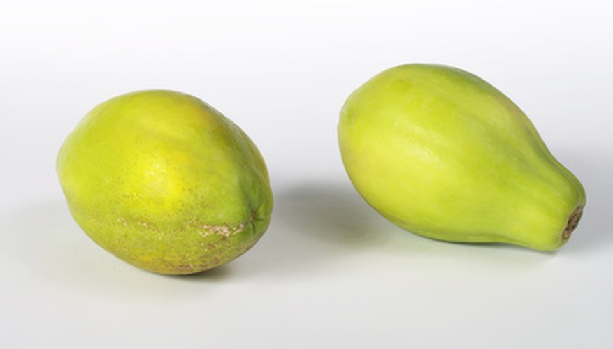 Pawpaws are among the fruits which grow well in shade. Pawpaws are among the fruits which grow well in shade.