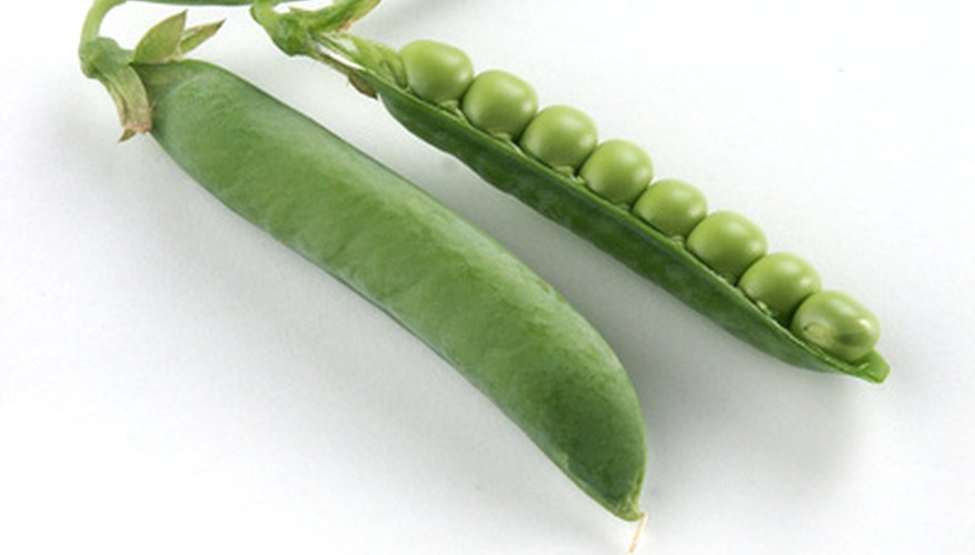 Fresh garden peas Fresh garden peas