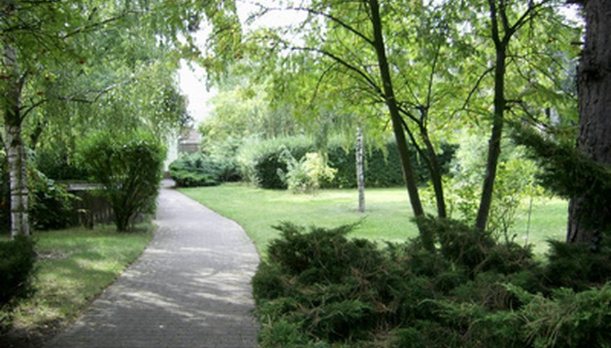 Pathways help to connect areas of the park landscape. Pathways help to connect areas of the park landscape.