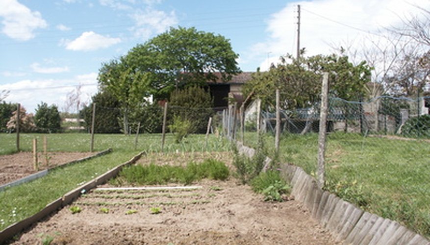 Many home gardeners use a rototiller to prepare the soil. Many home gardeners use a rototiller to prepare the soil.