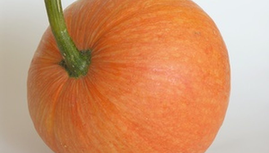 Mature pumpkins are ready by fall. Mature pumpkins are ready by fall.