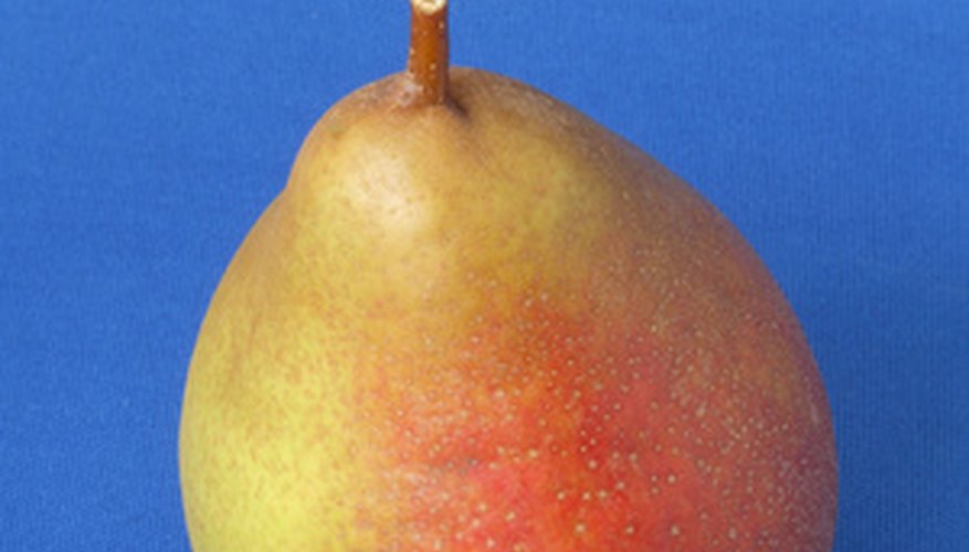 Like this fruit, Keifer pears are yellow with a red blush. Like this fruit, Keifer pears are yellow with a red blush.
