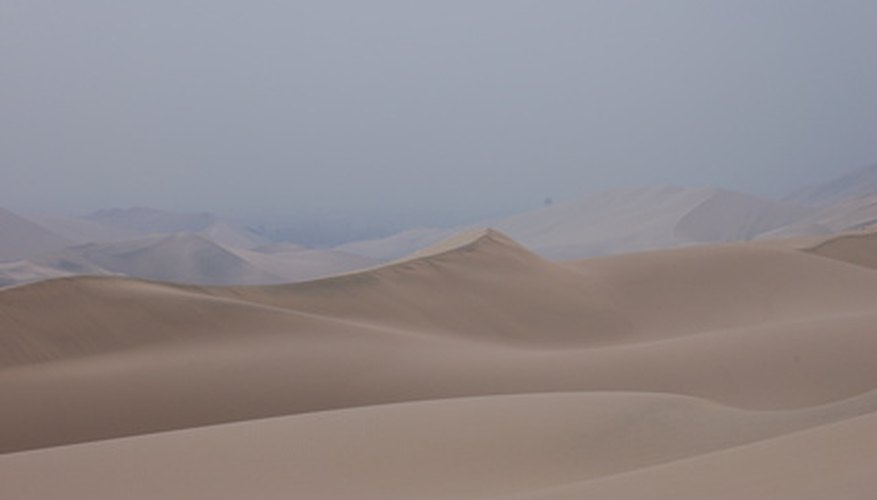 Desert soil is amazingly diverse despite popular imagery. Desert soil is amazingly diverse despite popular imagery.
