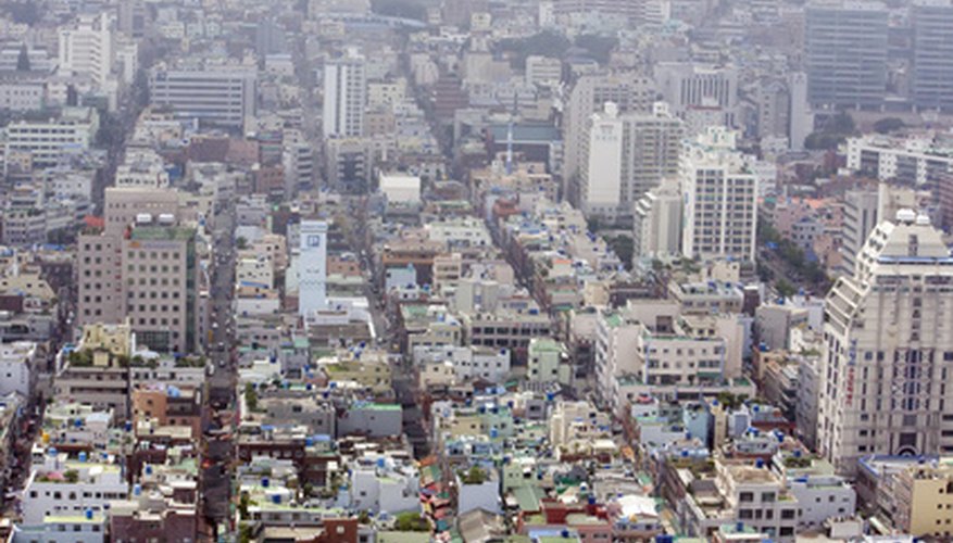 Smog can have a devastating effect on plants as well as people. Smog can have a devastating effect on plants as well as people.