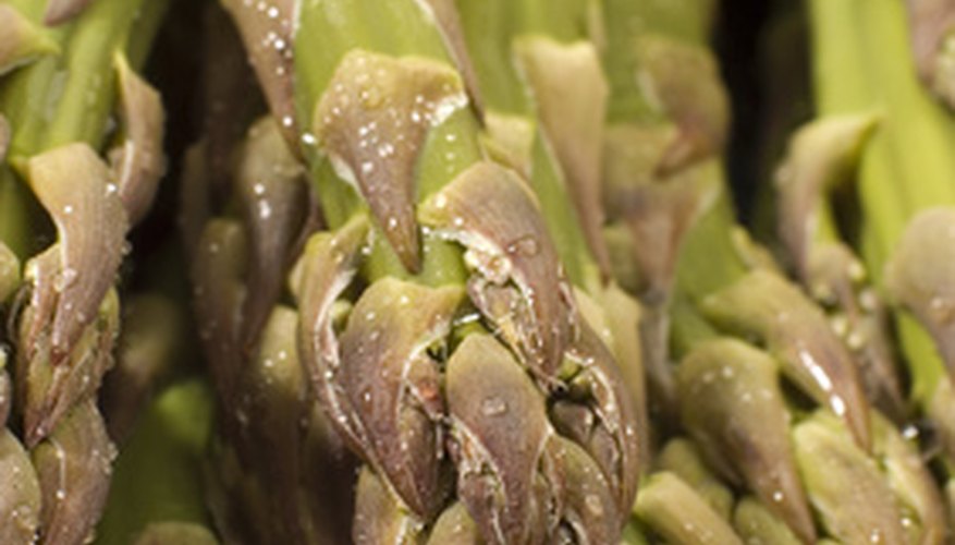 Harvested asparagus spears. Harvested asparagus spears.