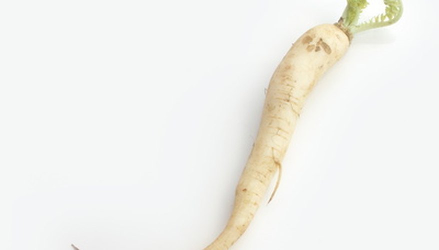 Turnips come in a variety of shapes and sizes, including long and carrotlike. Turnips come in a variety of shapes and sizes, including long and carrotlike.
