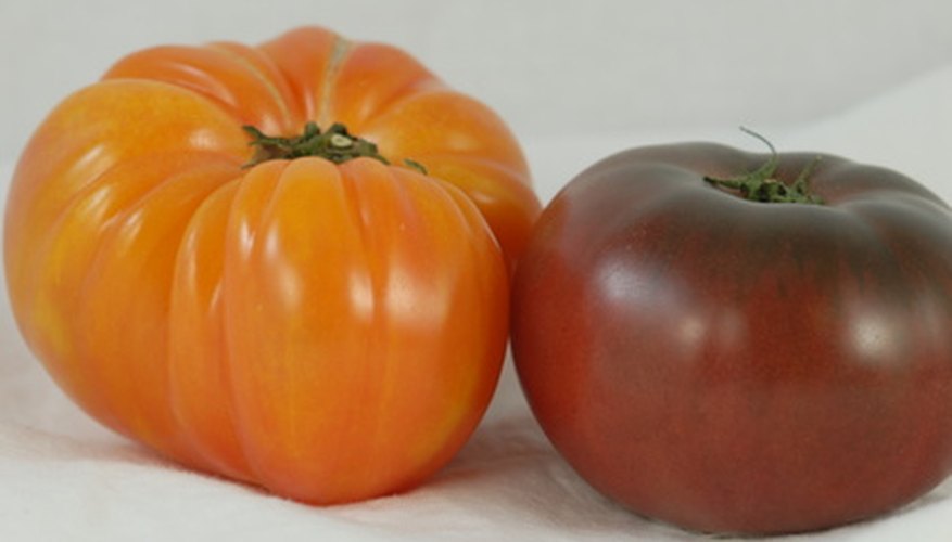 Heirloom tomatoes are one crop that will thrive in Florida's hot, humid growing seasons. Heirloom tomatoes are one crop that will thrive in Florida's hot, humid growing seasons.