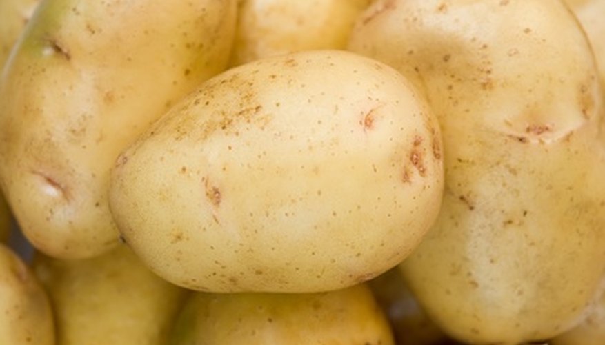 Potatoes are a high-yielding crop. Potatoes are a high-yielding crop.