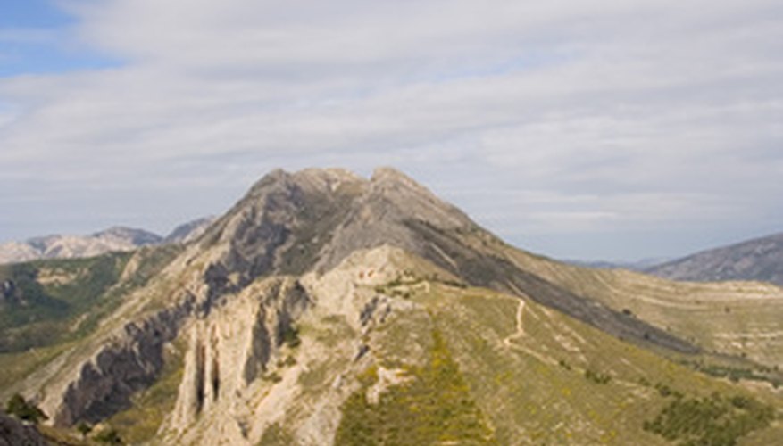 Spain's native flora is as diverse as its climates. Spain's native flora is as diverse as its climates.