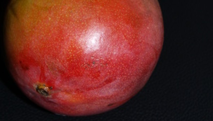 Mangosteens are fruit that grow on trees. Mangosteens are fruit that grow on trees.