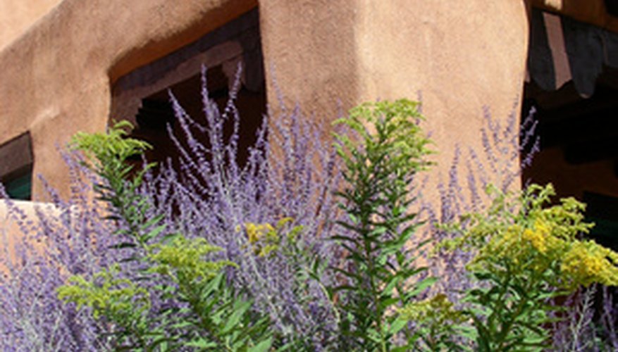 Adobe house project Adobe house project