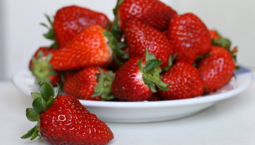 Tennesseans successfully grow hardy varieties of strawberries. Tennesseans successfully grow hardy varieties of strawberries.