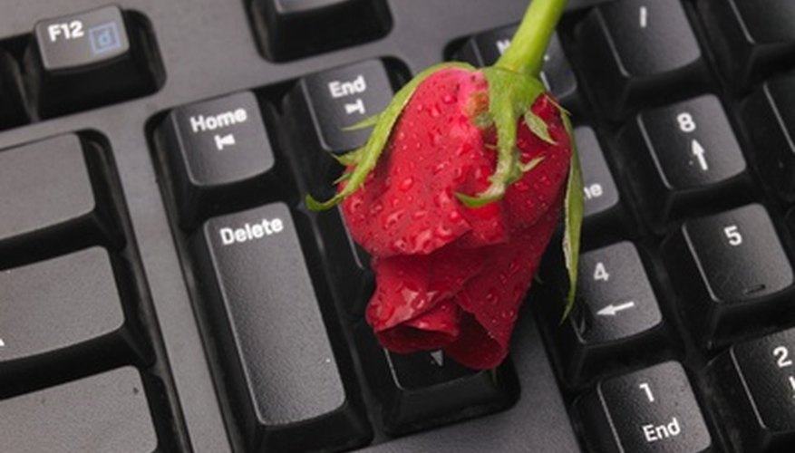 The green sepals and red petals of a rose The green sepals and red petals of a rose