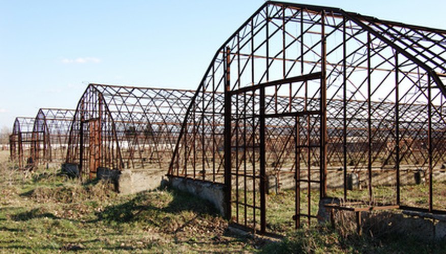 Use an unheated greenhouse to grow a variety of vegetables. Use an unheated greenhouse to grow a variety of vegetables.