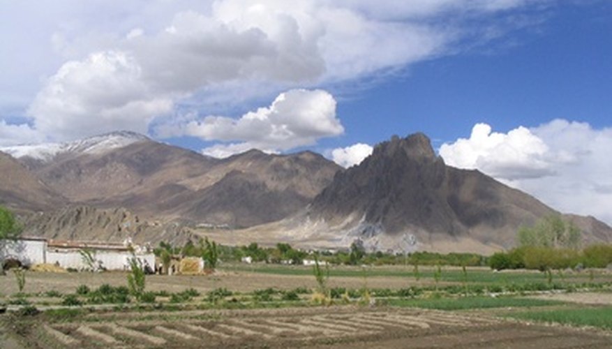 Low oxygen on the mountains of Tibet make farming a challenge. Low oxygen on the mountains of Tibet make farming a challenge.