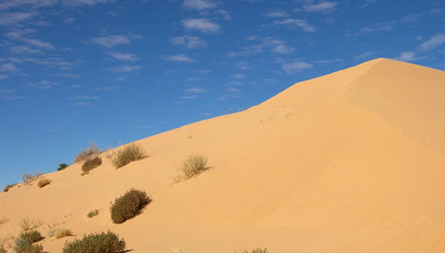 Sands of the desert. Sands of the desert.