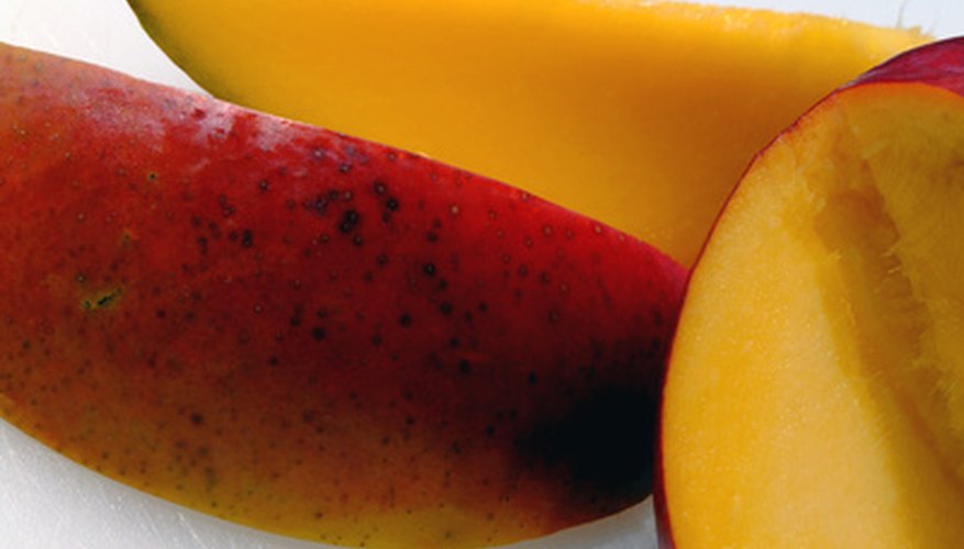 Fresh mango has many uses. Fresh mango has many uses.