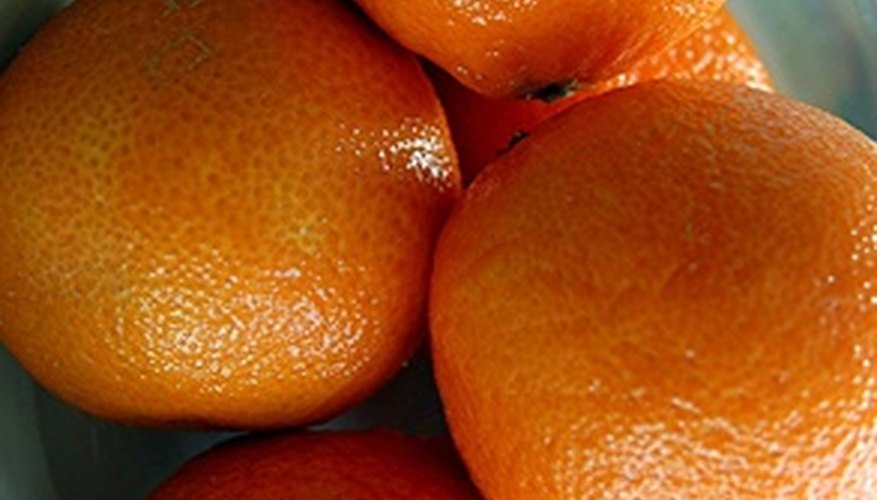 Oranges get sweeter on the tree after exposure to winter coolness. Oranges get sweeter on the tree after exposure to winter coolness.
