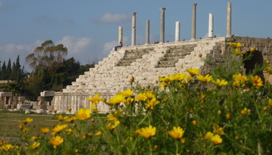 Southern Lebanon's Tyre Hippodrome decorated with wild flowers. Southern Lebanon's Tyre Hippodrome decorated with wild flowers.