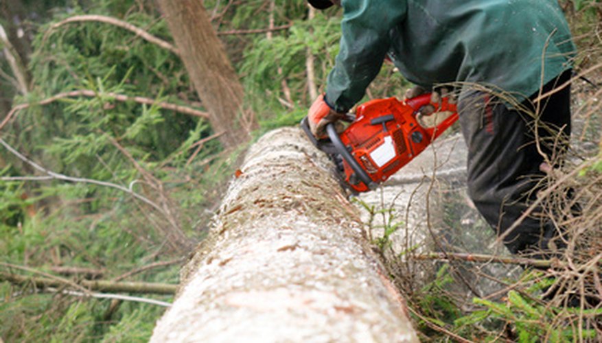 Chain oil is largely emitted from the saw, ending up in the surrounding environment. Chain oil is largely emitted from the saw, ending up in the surrounding environment.