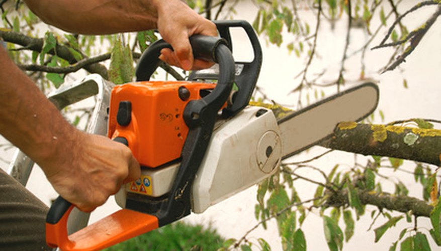 tools-to-cut-tree-limbs-garden-guides