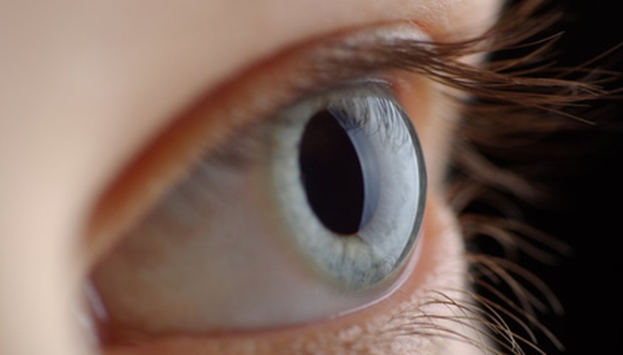 Learning about pinhole cameras can help you understand how the eye works. Learning about pinhole cameras can help you understand how the eye works.