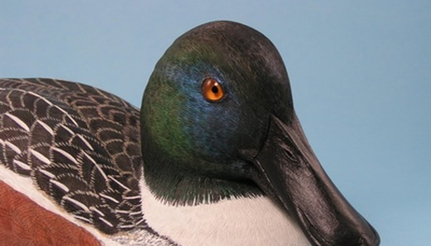 Some duck decoys have sold for millions. Some duck decoys have sold for millions.