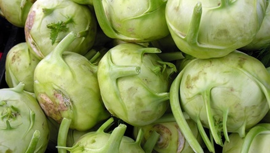 Prepare Kohlrabi in a variety of delicious ways. Prepare Kohlrabi in a variety of delicious ways.