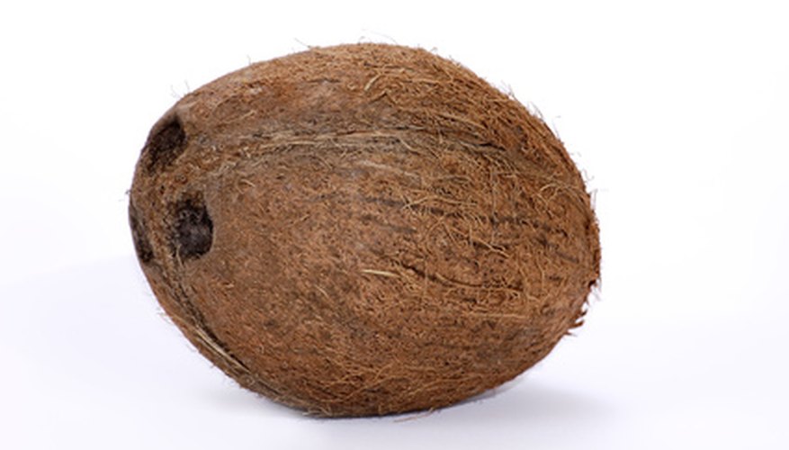 Coconuts have many uses. Coconuts have many uses.