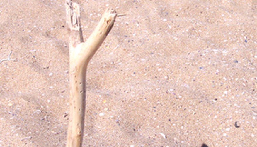 proper box trap stick proper box trap stick