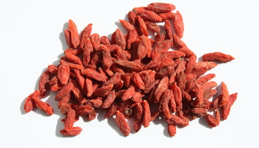Goji berries do very well in Florida. Goji berries do very well in Florida.
