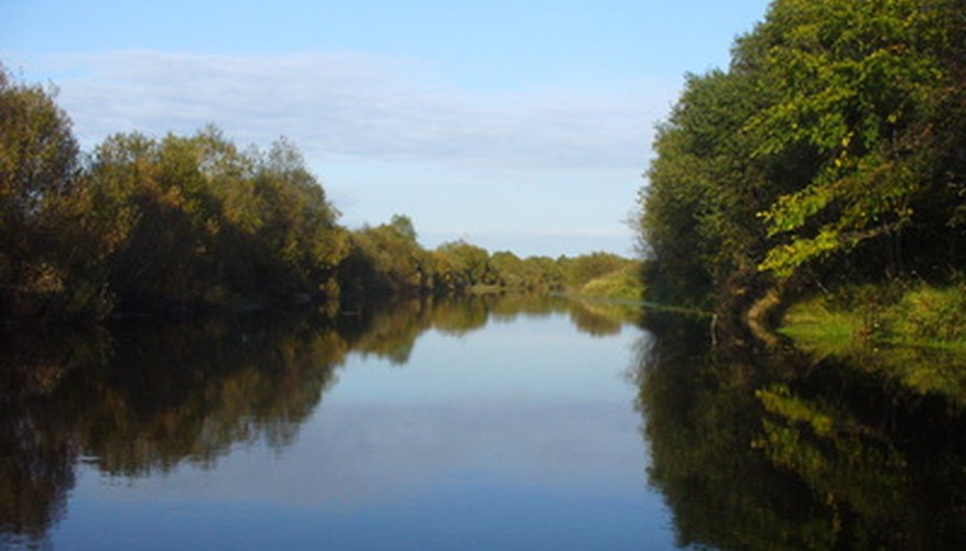 Some herbicides should never be used near water. Some herbicides should never be used near water.