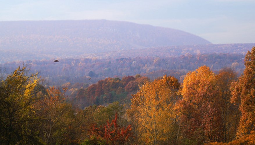 New Jersey's Ramapo, Kittatinny and Watchung mountains are part of the Appalachian system. New Jersey's Ramapo, Kittatinny and Watchung mountains are part of the Appalachian system.