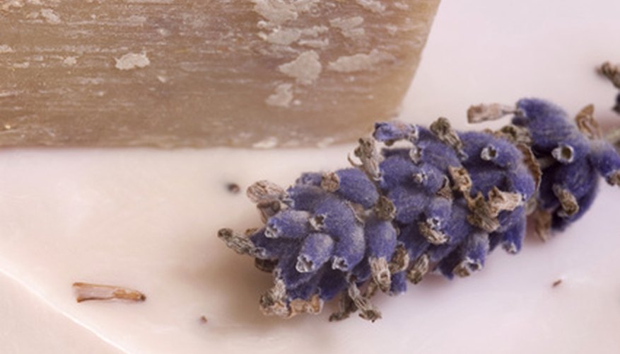 Deeper colored lavender petals are best for perfumes due to their high oil content. Deeper colored lavender petals are best for perfumes due to their high oil content.