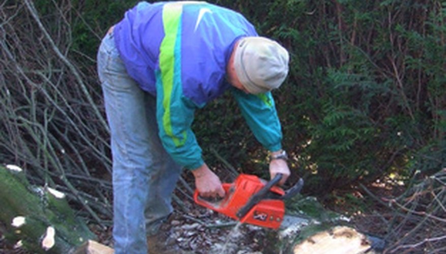 Cutting trees with a chain saw lets you be selective about which trees are removed. Cutting trees with a chain saw lets you be selective about which trees are removed.