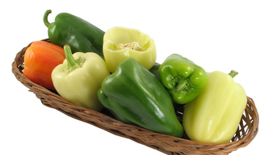 Pepper plants love Florida's summer heat. Pepper plants love Florida's summer heat.