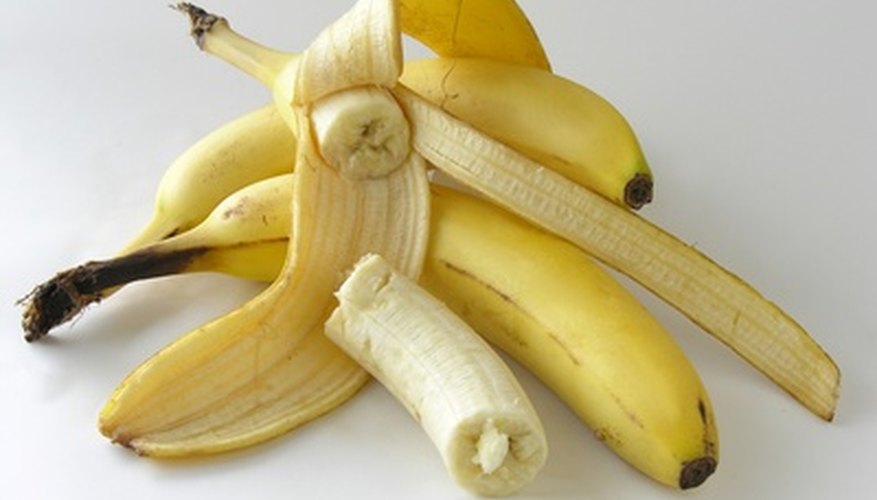 Plantain bananas are typically cooked before eating. Plantain bananas are typically cooked before eating.