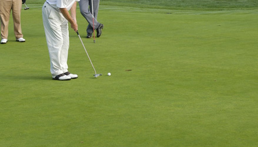 The grass type greatly influences putting performance. The grass type greatly influences putting performance.