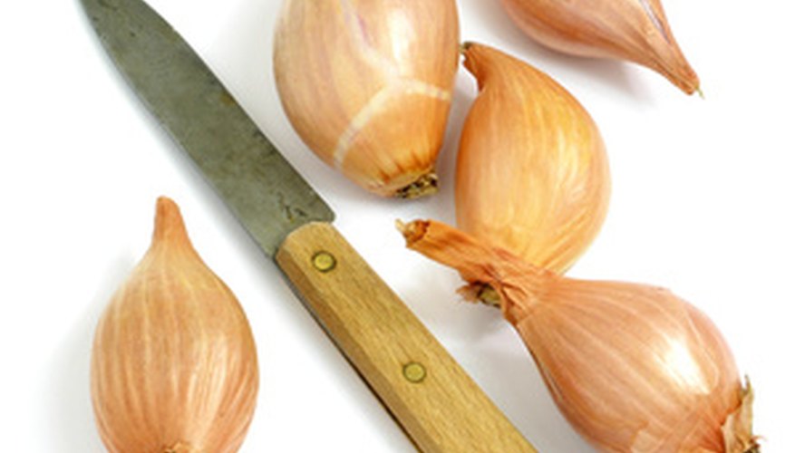 Shallots. Shallots.