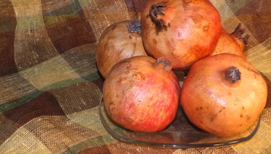 Pomegranate Fruit is Rich in Antioxidants Pomegranate Fruit is Rich in Antioxidants