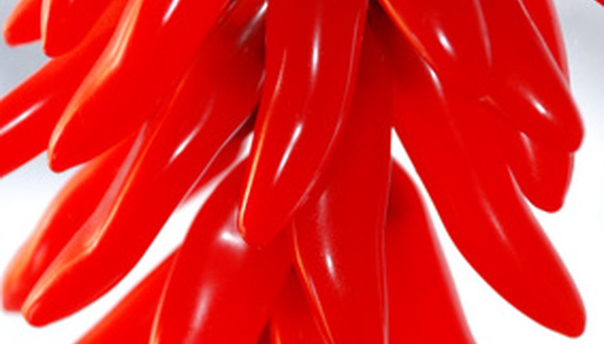 There are many varieties of chili peppers, from hot to mild. There are many varieties of chili peppers, from hot to mild.