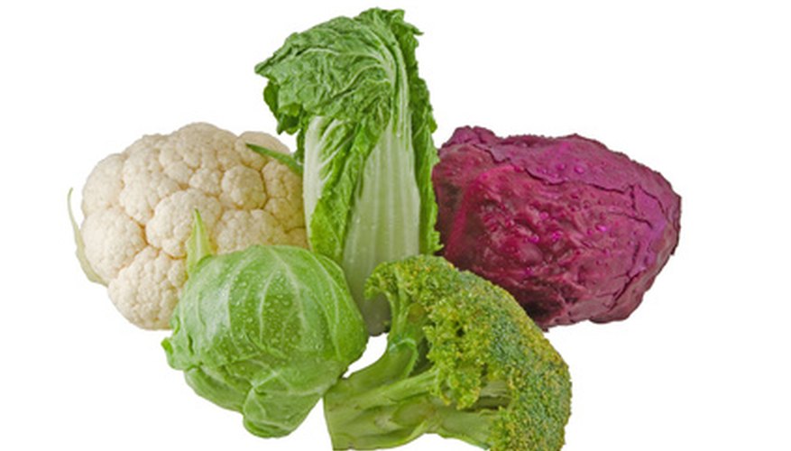 Cabbage family Cabbage family