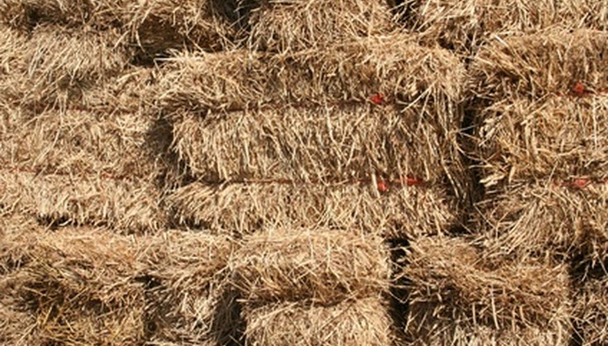 Square bales of straw make an easy to assemble cold frame. Square bales of straw make an easy to assemble cold frame.