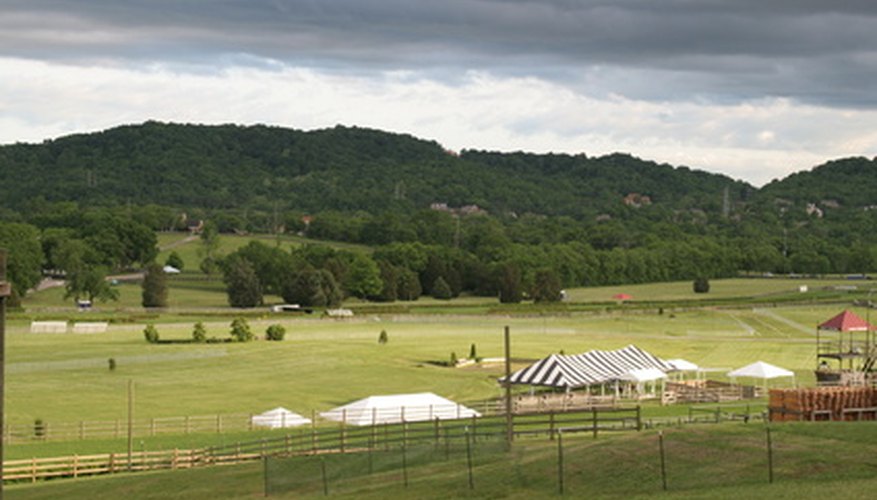 Tall fescue is recommended in eastern Tennessee. Tall fescue is recommended in eastern Tennessee.