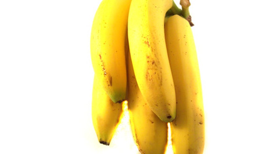 Bananas will be ready to eat when dark yellow with brown specks. Bananas will be ready to eat when dark yellow with brown specks.
