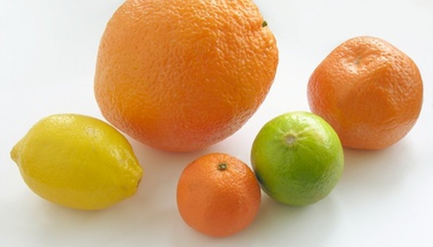 Citrus trees include oranges, lemons, limes, grapefruits and kumquats. Citrus trees include oranges, lemons, limes, grapefruits and kumquats.