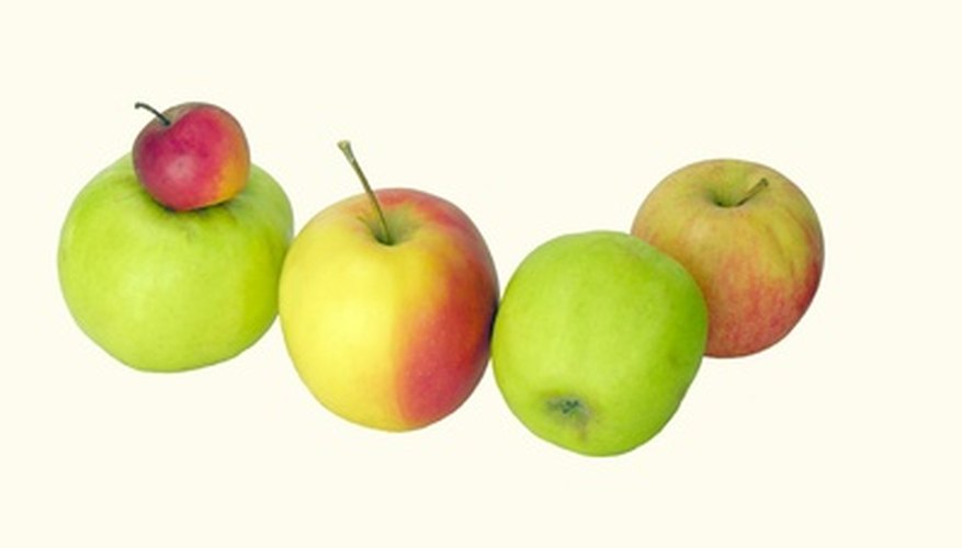 Apples create ethylene gas which speeds the ripening of other fruits. Apples create ethylene gas which speeds the ripening of other fruits.