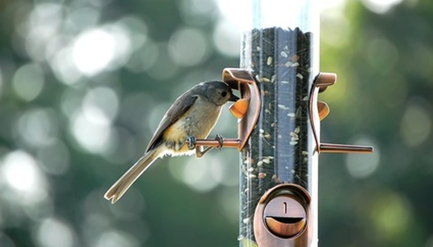 how do birds find bird feeders sciencing how do birds find bird feeders sciencing