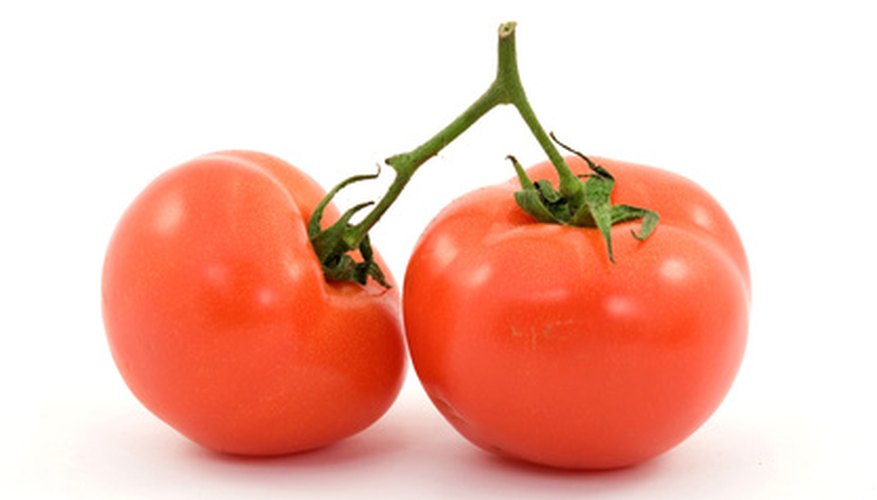 Tomato cones conserve space and improve yields. Tomato cones conserve space and improve yields.