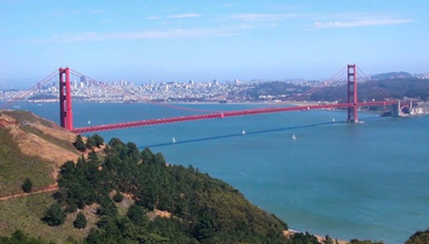 Protests saved thousands of eucalyptus trees in the Golden Gate Recreation Area. Protests saved thousands of eucalyptus trees in the Golden Gate Recreation Area.